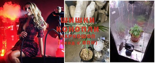COCAINE Магас