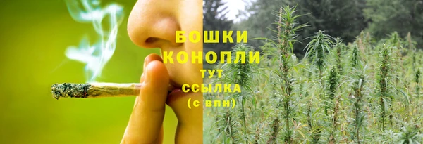 трава Майский